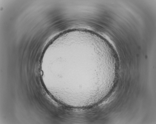 X0000088180799200706121649