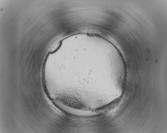 X0000088180803200706121649