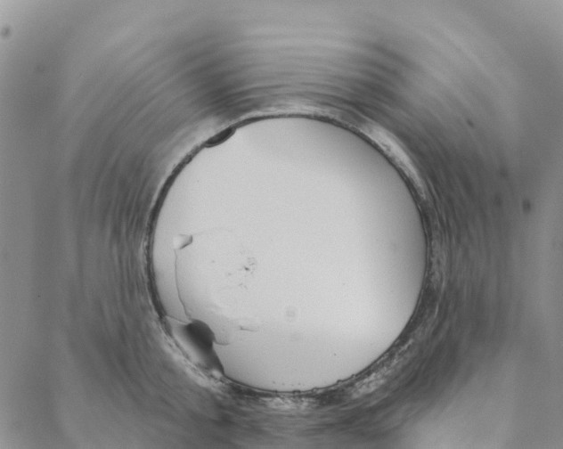 X0000088180805200706121649