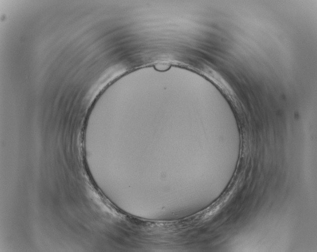 X0000088180806200706121649