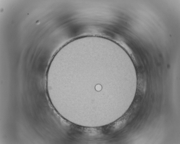 X0000088180807200706121649