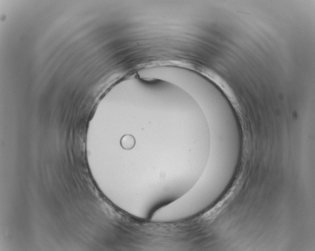 X0000088180809200706121649