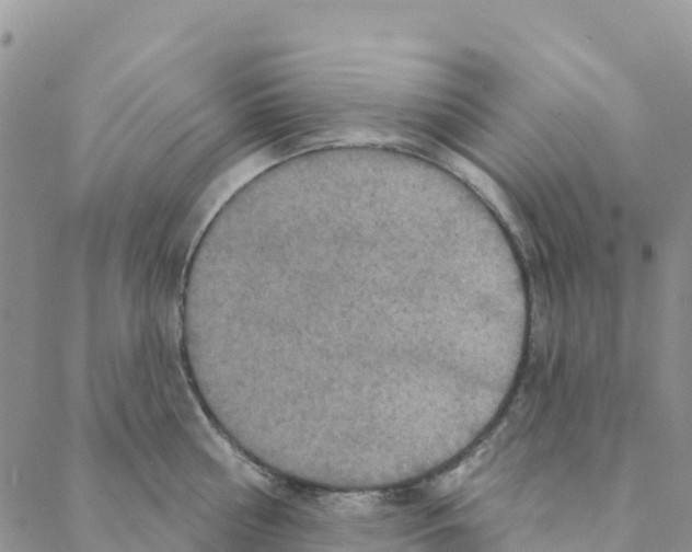 X0000088180810200706121649