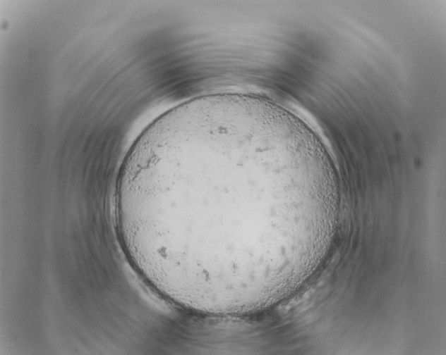 X0000088180811200706121649