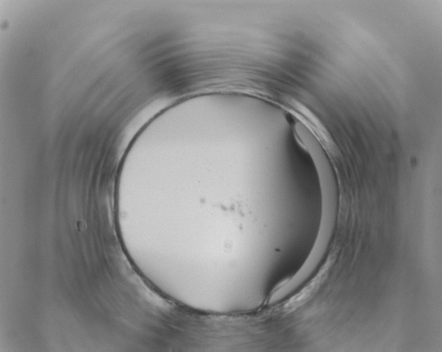 X0000088180812200706121649