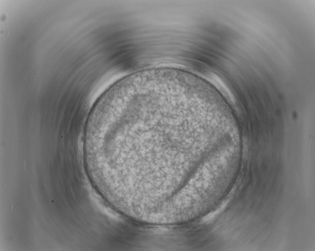 X0000088180814200706121649