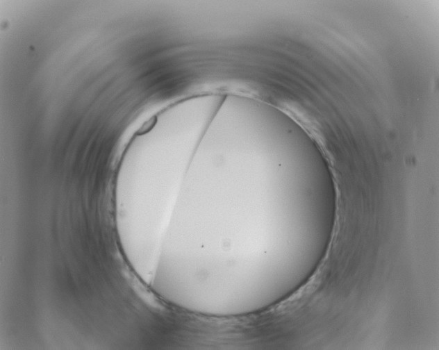 X0000088180816200706121649