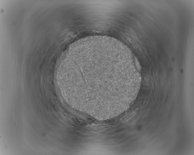 X0000088180817200706121648