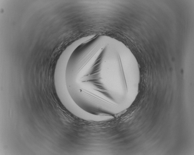 X0000088180818200706121648