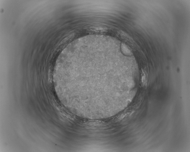 X0000088180819200706121648