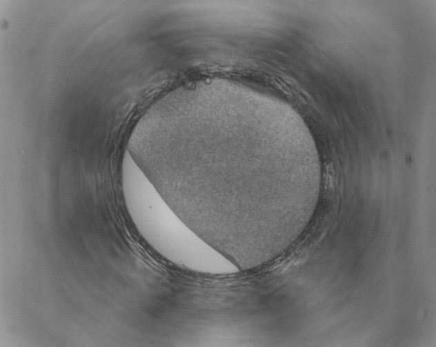 X0000088180820200706121648