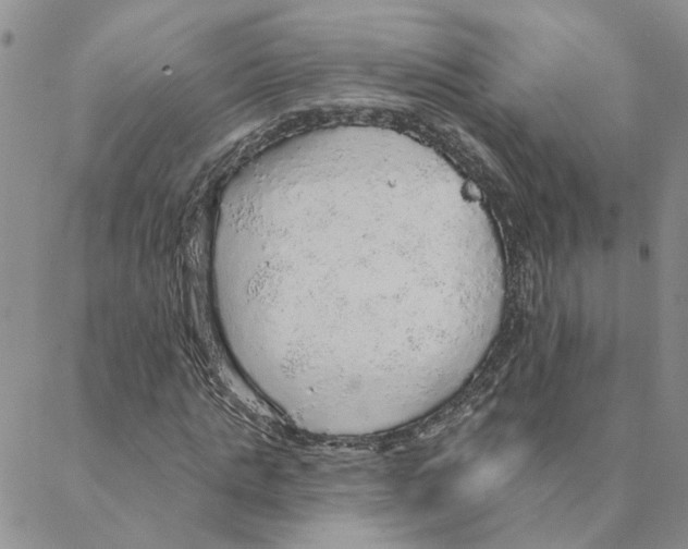 X0000088180821200706121648