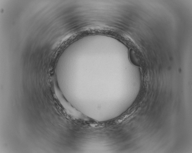 X0000088180822200706121648