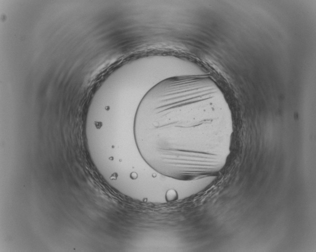 X0000088180824200706121649