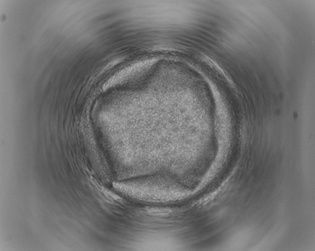 X0000088180825200706121649