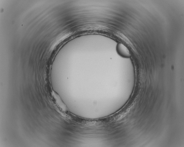 X0000088180826200706121649