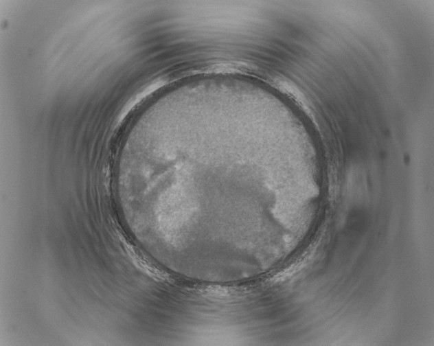 X0000088180827200706121649