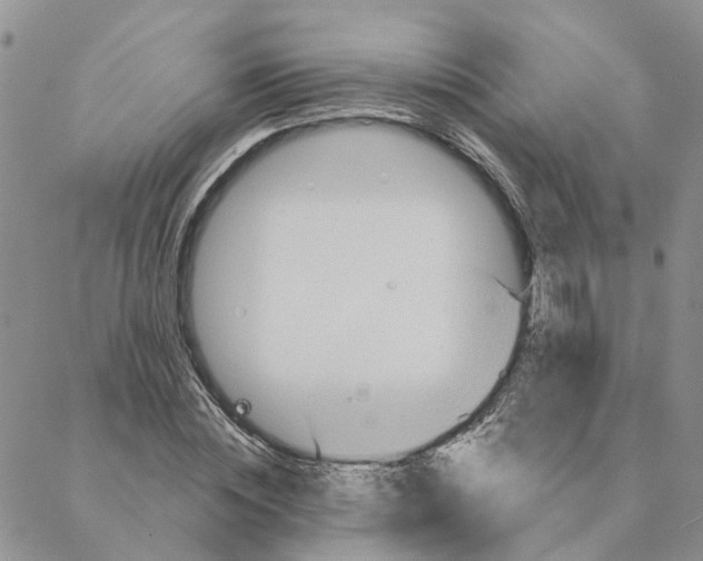 X0000088180828200706121649