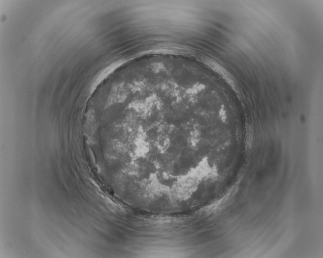 X0000088180829200706121649