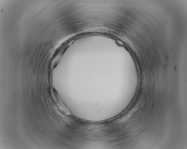 X0000088180830200706121649