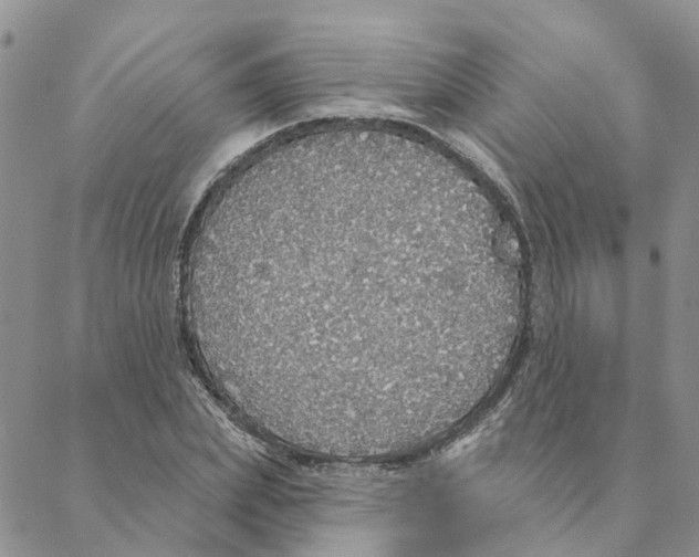 X0000088180831200706121649