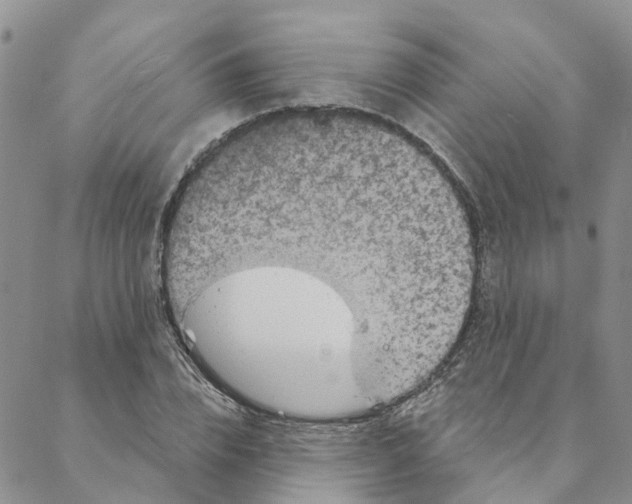 X0000088180832200706121649