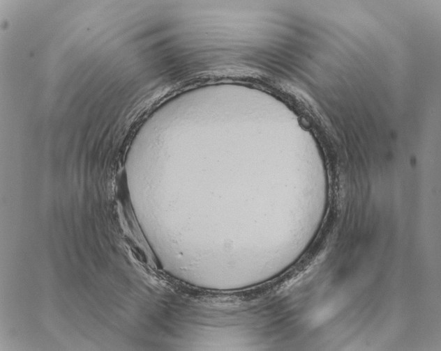 X0000088180833200706121649