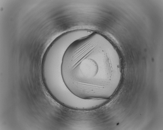 X0000088180836200706121649