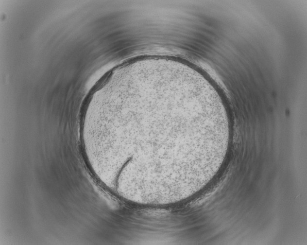 X0000088180837200706121649