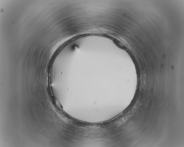 X0000088180838200706121649