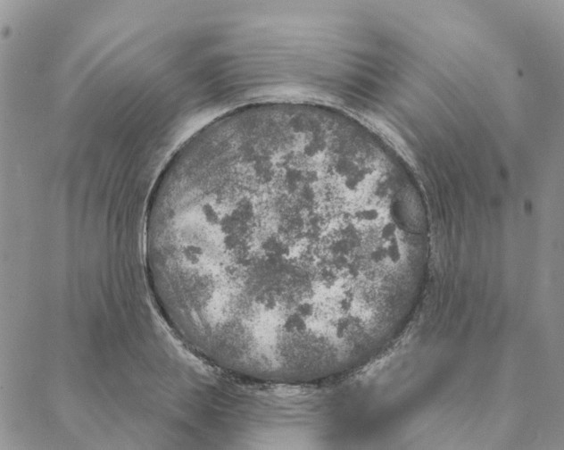 X0000088180839200706121649