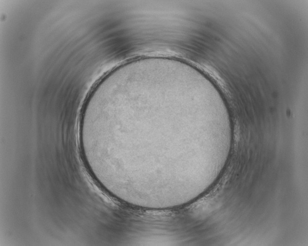 X0000088180840200706121649