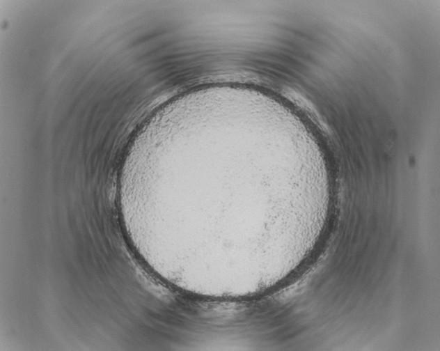 X0000088180841200706121649