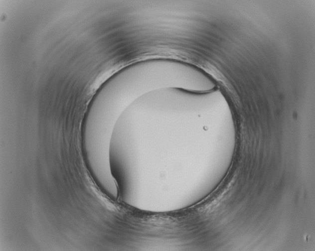 X0000088180842200706121649