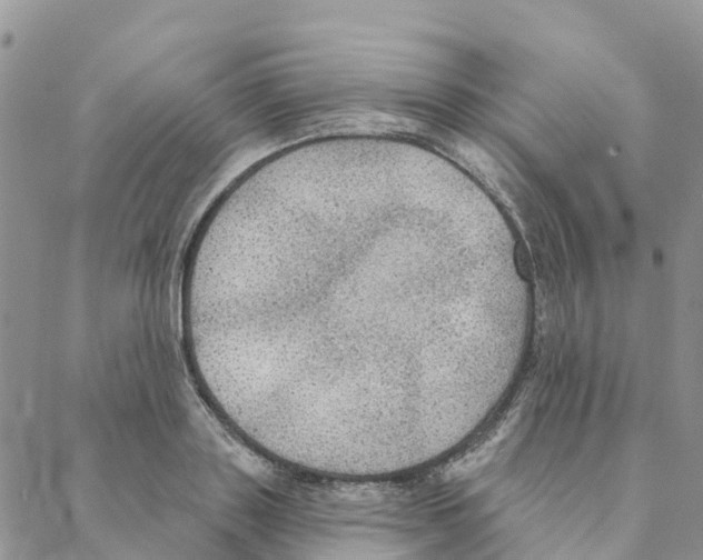 X0000088180843200706121649