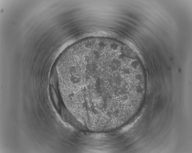 X0000088180845200706121649