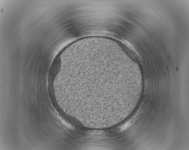 X0000088180846200706121649