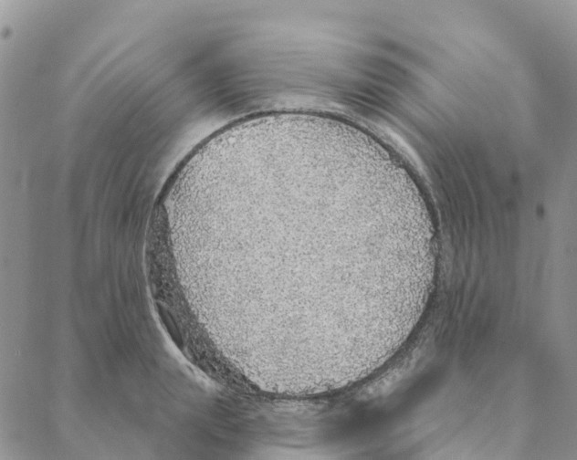 X0000088180847200706121649