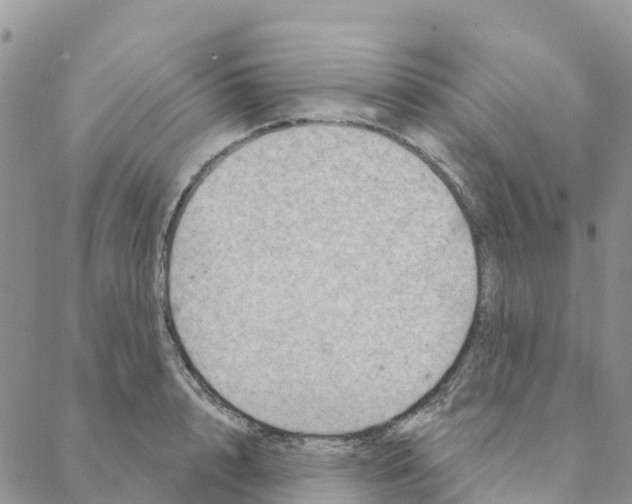 X0000088180848200706121649