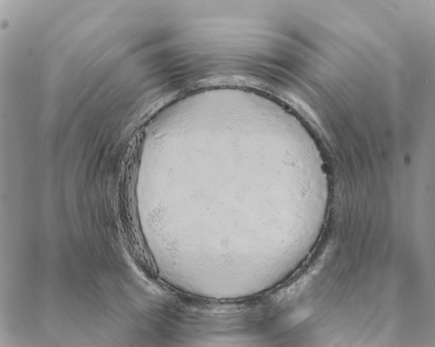 X0000088180849200706121649