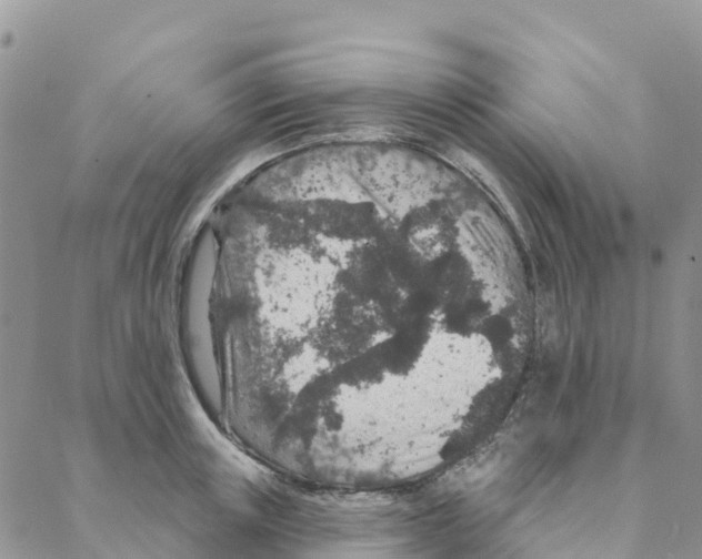 X0000088180851200706121649