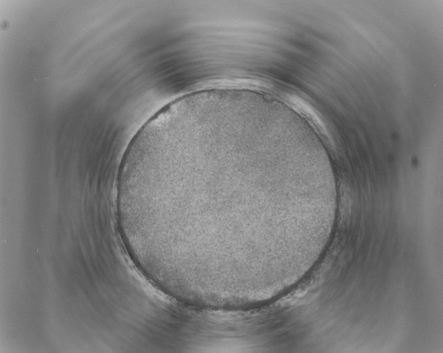 X0000088180852200706121649