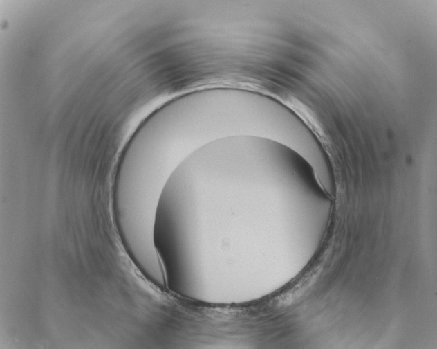 X0000088180854200706121649