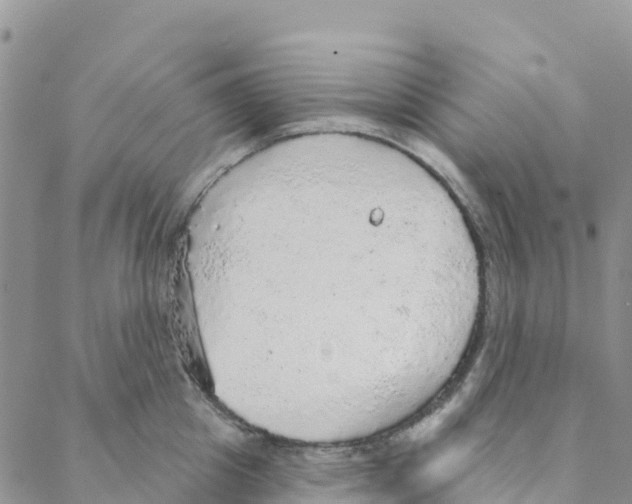 X0000088180857200706121649