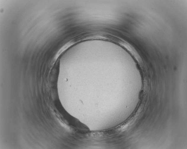 X0000088180858200706121649