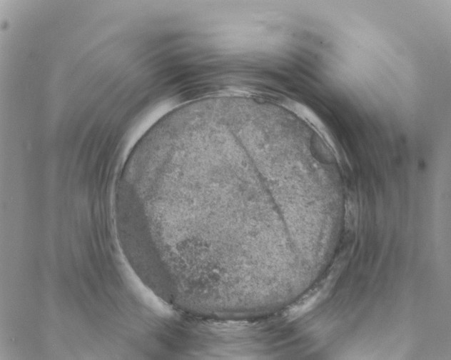 X0000088180859200706121649