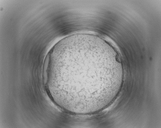 X0000088180860200706121649