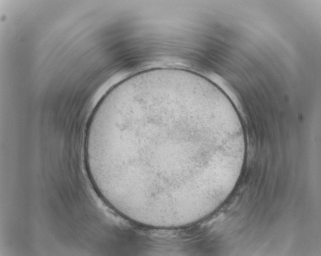 X0000088180861200706121649