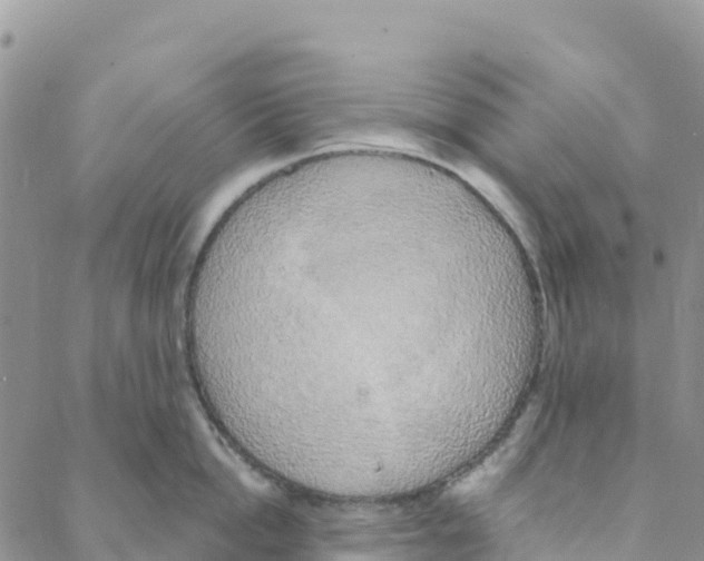 X0000088180862200706121649