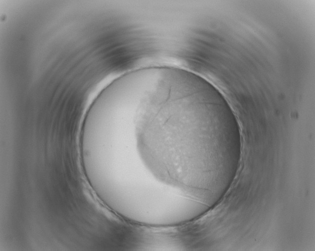 X0000088180864200706121649